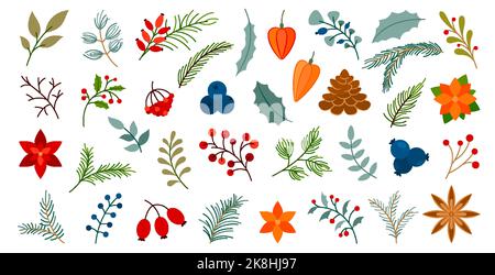 Winter Herbst Beere weihnachtsbaum Fichte Zweig Blatt handgezeichnet flach set. Weihnachtsstern Tannenzapfen Kegel Stern Anise Wildrose viburnum festlicher Garten Heim Pflanze Blume Dekor Karte Einladung Aufkleber drucken Stock Vektor