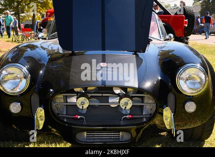 1965 Shelby Cobra. Stockfoto