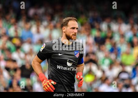 SEVILLA, SPANIEN - 23. OKTOBER: Jan Oblak von Atletico de Madrid während des Spiels zwischen Real Betis Balompie und Atletico de Madrid CF von La Liga Santander am 27. August 2022 in Mestalla in Valencia, Spanien. (Foto von Samuel Carreño/PxImages) Stockfoto