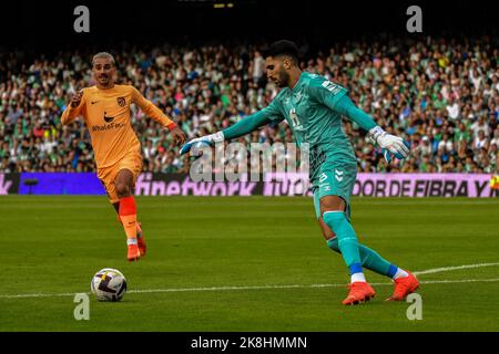 SEVILLA, SPANIEN - 23. OKTOBER: Rui Silva von Real Betis Balompie übergibt den Ball während des Spiels zwischen Real Betis Balompie und Atletico de Madrid CF von La Liga Santander am 27. August 2022 in Mestalla in Valencia, Spanien. (Foto von Samuel Carreño/PxImages) Stockfoto