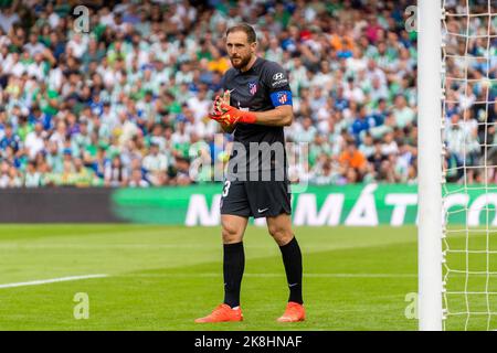 Sevilla, Spanien. 23. Oktober 2022. Jan Oblak von Atletico de Madrid gesehen während des La Liga Santander 2022/2023 Spiels zwischen Real Betis und Atletico de Madrid im Benito Villamarin Stadion.(Final Score; Real Betis 1:2 Atletico de Madrid) Credit: SOPA Images Limited/Alamy Live News Stockfoto