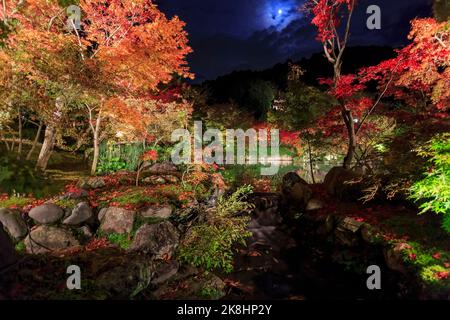 Nächtliche Herbstlandschaft im Zenrin-ji Tempel in Kyoto, Japan Stockfoto