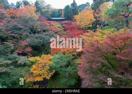 Bedeckter Blick auf die Herbstfarbe des Tofukuji-Tempels in Kyoto Stockfoto