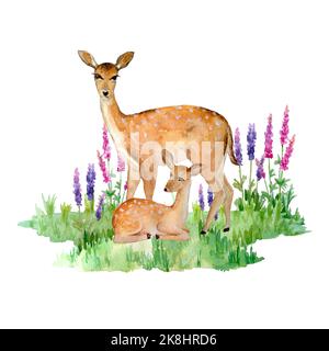 Handgezeichnete Aquarell-Illustration von Wildwild Mutter Kind. Realistisches Tierzoo Walddesign, niedliches Säugetier Wildlife Poster Print für Kindertageskarten Einladungen Stockfoto