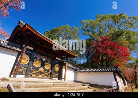 Sonniger Blick auf die wunderschöne Herbstfarbe eines Tores im Daigoji-Tempel in Kyoto, Japan Stockfoto