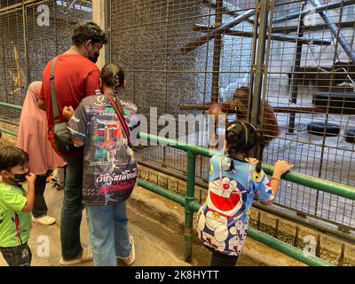 Bangkok, Thailand. 23. Oktober 2022. Besucher geben einem Orang-Utan in einem Betonkäfig im Pata Zoo Früchte. Der Zoo auf dem Dach eines Einkaufszentrums in Bangkok ist auch als „Hell Zoo“ bekannt. Quelle: Carola Frentzen/dpa/Alamy Live News Stockfoto