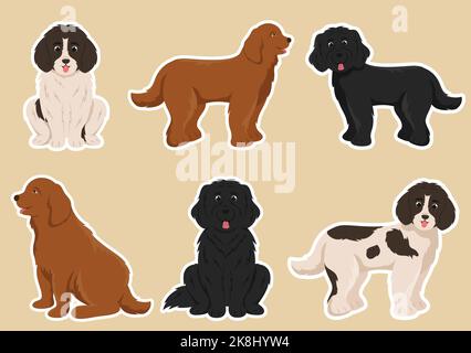 Neufundland Hund Tiere mit Schwarz, Braun oder Landseer Farbe in flachem Stil Cute Cartoon Template Handgezeichnete Illustration Stock Vektor