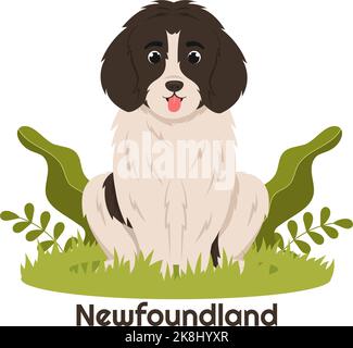 Neufundland Hund Tiere mit Schwarz, Braun oder Landseer Farbe in flachem Stil Cute Cartoon Template Handgezeichnete Illustration Stock Vektor