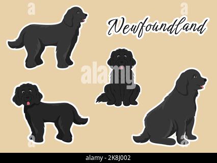 Neufundland Hund Tiere mit Schwarz, Braun oder Landseer Farbe in flachem Stil Cute Cartoon Template Handgezeichnete Illustration Stock Vektor