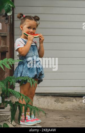 Konzentriertes kleines Mädchen 3-4 Jahre alt mit zwei Pferdeschwänzen isst Wassermelone. Kind im Freien vor dem Hintergrund des Gebäudes hält süße gesunde Früchte in Stockfoto