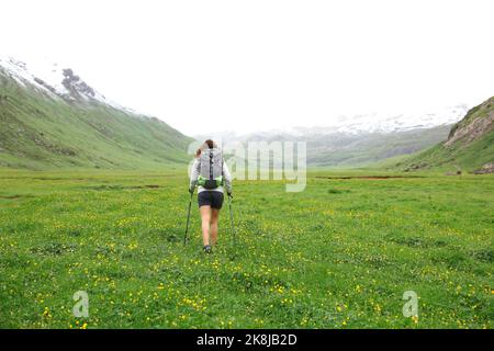 Rückansicht eines Wanderers, der in einem grünen Tal einen nebligen Tag spazierengeht Stockfoto