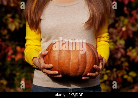Nahaufnahme Frauen Hände mit großen orange Kürbis auf Hintergrund Herbst roten Blättern. Farbenfrohe Erntedetails Stockfoto
