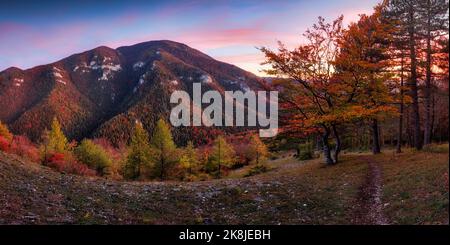 Schöner Sonnenuntergang über Herbstwald mit großer Bergpanoramalandschaft in der Slowakei Stockfoto