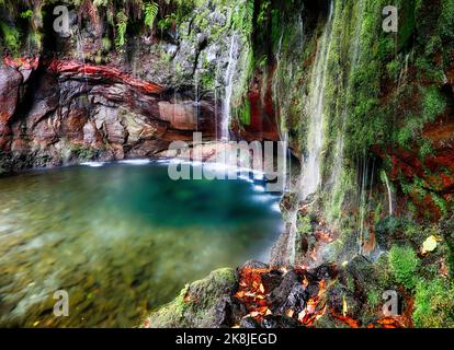 Madeira Wasserfall - 25 Fontes oder 25 Quellen auf Englisch. Rabacal - Paul da Serra. Der Zugang ist über die Levada das 25 Fontes möglich Stockfoto