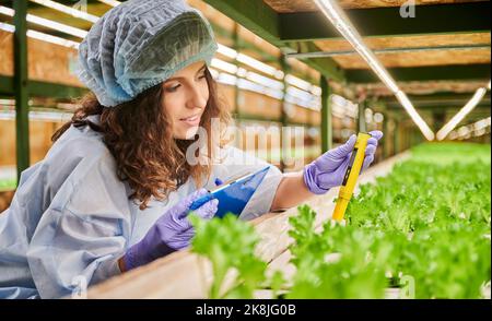 Frau Agronomin mit pH-Meter im Gewächshaus. Glückliche Gärtnerin hält Zwischenablage während der Messung des Boden pH-Wert mit digitalen elektronischen Gerät. Stockfoto