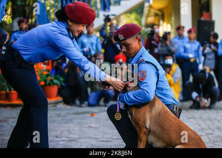 Kathmandu, Nepal. 24. Oktober 2022. Ein von der nepalesischen Polizei ausgebildeter Hund wird von einem hochrangigen Polizeibeamten während des Hundeverehrungsfestivals „Kukkur Tihar“, auch Diwali genannt, geehrt, das als Lichtfestival an der Central Police Dog Training School in Kathmandu bekannt ist. Im Hinduismus wird angenommen, dass Hunde der Bote Gottes Yama, des Herrn des Todes, sind und dass Hunde die Türen des Himmels bewachen. Kredit: SOPA Images Limited/Alamy Live Nachrichten Stockfoto