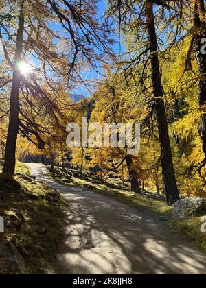 Wanderweg in Südtirol Pfossental Stockfoto