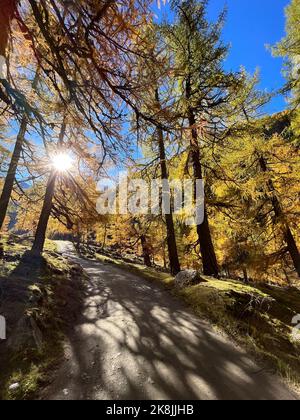 Wanderweg in Südtirol Pfossental Stockfoto