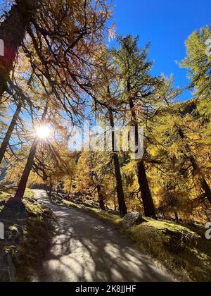 Wanderweg in Südtirol Pfossental Stockfoto