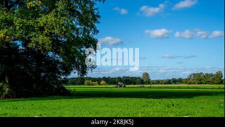 Traktor mäht Gras auf einer Wiese Stockfoto