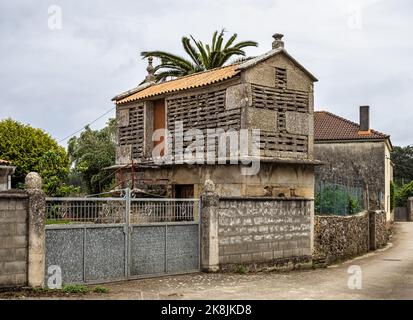 Schönes Dorf Vigo in Galizien, Spanien, einzigartig für seine Horreos, traditionelle Kornspeicher Scheunen Stockfoto