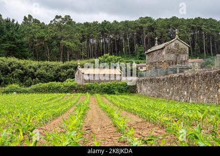 Schönes Dorf Vigo in Galizien, Spanien, einzigartig für seine Horreos, traditionelle Kornspeicher Scheunen Stockfoto