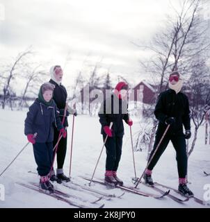 Gausdal 1955 - Königin Ingrid von Dänemark auf einem privaten Winterurlaub in Norwegen mit ihren drei Töchtern, Erbprinzessin Margrethe, Prinzessin Benedikte und Prinzessin Anne-Marie. Königin Ingrid hatte seit 20 Jahren keine Skier mehr auf den Beinen. Alle vier Skifahrerinnen ab V: Prinzessin Anne-Marie, Königin Ingrid, Prinzessin Benedikte und die Erbin Prinzessin Margrethe. Foto: Sverre A. Børretzen / Aktuell / NTB Stockfoto