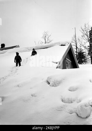 Südnorwegen, Februar 1951: Starker Schneefall über dem südlichen Teil des Landes verursachte wochenlang Chaos, aber einige genießen den Schnee. Hier Hallvard und Tore Hansen, die das Dach des Lagers des Händlers Seland als Rutsche nutzen. Foto: Arne Kjus / Aktuell / NTB Stockfoto