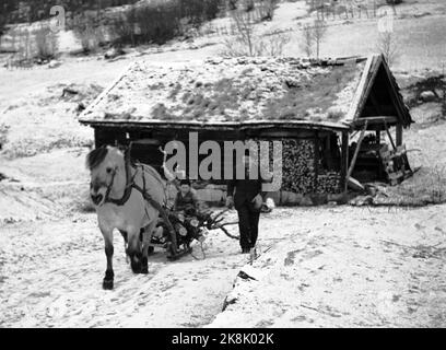 Loen März 1947 von der Farm Streichung in Nordfjord, wo natürliche Haushalte so weit wie möglich geführt werden. Die 9 Bewohner des Hofes leben von den Produkten, die der Boden und das Vieh liefern. Hier wird mit Pferd und Schlitten geführt. Foto: Th. Scotaam / Aktuell / NTB Stockfoto