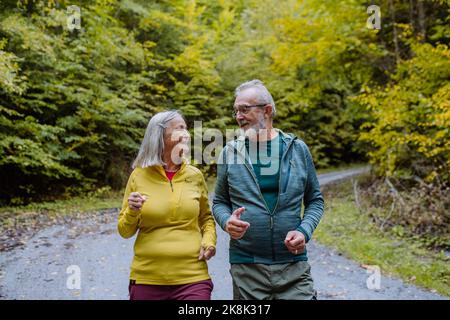 Glückliches Seniorenpaar beim Wandern im Herbstwald. Stockfoto