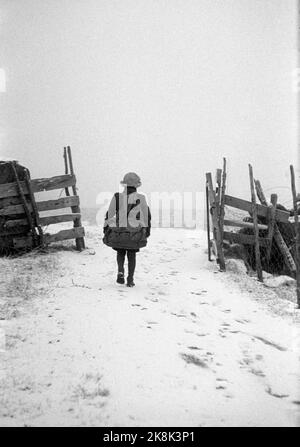 Loen März 1947 von der Farm Streichung in Nordfjord, wo natürliche Haushalte so weit wie möglich geführt werden. Die 9 Bewohner des Hofes leben von den Produkten, die der Boden und das Vieh liefern. Die Kinder müssen helfen, damit alles herumgeht. Hier ist ein kleines Mädchen mit einem großen Rucksack auf dem Weg aus dem Tor, vielleicht, um eine der wenigen Waren, die die Farm nicht selbst produziert, zu tauschen. Abbildung Foto: 'Die jungen Leute verlassen das Land' / 'draußen in der Welt' Foto: Th. Scotaam / Aktuell / NTB Stockfoto