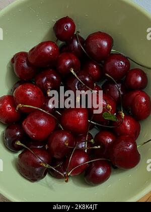 Kirschen aus nächster Nähe. Ernte von Süßkirschen. Rote reife Beere mit einem Zweig eines Kirschbaums. Stockfoto