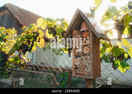 Insektenhaus im Garten, Konzept der ökologischen Gartenarbeit und nachhaltiger Lebensstil. Stockfoto