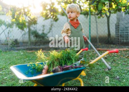 Kleiner Junge mit Schubkarre, der am Herbsttag im Garten posiert. Stockfoto