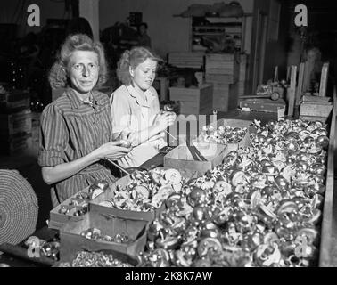 Sandnes 19490415. In Ständen mit 75.000 Fahrrädern. Die Firma Jonas Øgländ in Sandnes, Rogaland, wurde 1868 gegründet. Die Fahrradfabrik Øgländ stellt jährlich 75.000 Fahrräder her, die Hälfte davon wird hier im Werk zusammengestellt, die andere Hälfte wird an Händler verkauft, die sie selbst zusammenstellen oder als Ersatzteile verwenden. Im Jahr 1932 brachten sie das beste Fahrrad auf den Markt - DBS. Die Fabrik hat etwa 400 Arbeiter. Frauen bei der Arbeit mit Glocken. Foto; Sverre A. Børretze / Aktuell / NTB Stockfoto