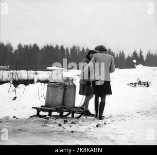 Hedmark im Winter 1948. Wasserknappheit in Ostnorwegen nach der Dürre im Sommer 1947. Die Betriebe müssen Wasser in den Flüssen holen oder Wasser aus den Molkereien fließen lassen. Hier die Schwestern Gerd und Ragnhild Eriksen, die auf einem Schlitten das Wasser aus dem Fluss zum Haus ziehen. Es sind nur fünf Minuten, sodass sie nicht glauben, dass es etwas zu sagen gibt! Foto: Børretzen / Aktuell / NTB Stockfoto