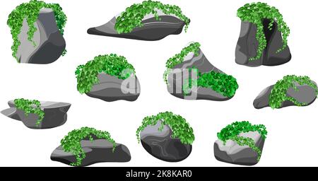 Küstenkiesel, Kopfsteinpflaster, Kies, Mineralien und geologische Formationen.Sammlung von Steinen verschiedener Formen und Pflanzen.Felsfragmente, Felsbrocken und b Stock Vektor