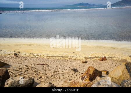 Meeresschaum, der durch Ölverschmutzung am Strand von Tarifa, Andalusien, Spanien, an den Strand gespült oder an den Strand geblasen wird. Stockfoto