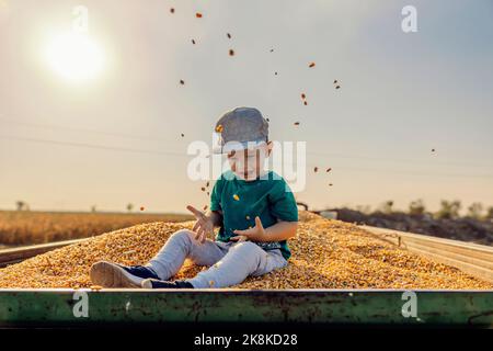 Ein aufgeregt kleiner Bauernjunge sitzt in einem Traktor-Anhänger voller Maiskörner und wirft Getreide in die Luft. Der kleine Helfer sitzt auf der Maisdauer Stockfoto