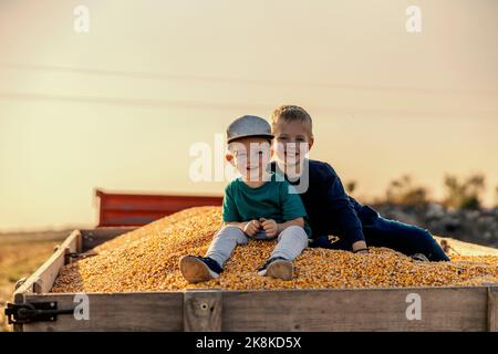 Zwei kleine Bauernjungen sitzen auf dem Getreidestapel in einem Traktor-Anhänger und helfen dabei. Zwei Jungen auf einem Haufen Maiskörner während der Maisernte. Stockfoto