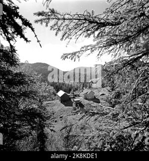 Flatdal in Telemark, August 1959. Fjellgården Ekre liegt 600 Meter über dem Meeresspiegel und in einem derart unwegsamen Gelände, dass "niemand denken würde, dass jemand es könnte BU". Hier ist ein Überblick über den Hof, der seit vielen Generationen im Besitz der Familie ist. Foto: Aage Storløkken / Aktuell / NTB Stockfoto