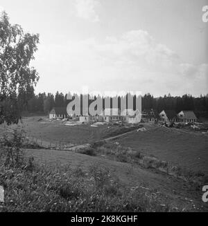 Bærum. Nadderud 1951. Auf Nadderud werden 48 Häuser gebaut. „Es wird von Stadthäusern auf der eineinhalb Etage gesprochen, die nach amerikanischen Prinzipien eingerichtet sind. Jede Wohnung ist in 4 Zimmern und Küchen, mit einer Gesamtfläche von ​​115, neben dem Keller unter der Hälfte des Hauses. Die Miete wird 160.- Kronen pro Monat betragen, kann aber wahrscheinlich reduziert werden. Die Kaution wird auf NOK 7.000 pro Wohnung geschätzt. Hier sind die Wände aufgestellt. Foto: Sverre A. Børretzen / NTB Stockfoto