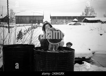 Hedmark im Winter 1948. Wasserknappheit in Ostnorwegen nach der Dürre im Sommer 1947. Die Betriebe müssen Wasser in den Flüssen holen oder Wasser aus den Molkereien fließen lassen. Hier nehmen Johan Lystad und Schwester Bjørg Wasser im kleinen Fluss Kveka auf. Foto: Børretzen / Aktuell / NTB Stockfoto