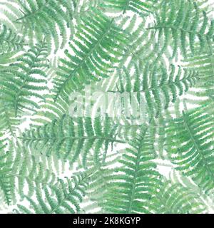 Nahtloses Muster mit grünen Farnzweigen auf weißem Hintergrund. Aquarell handgezeichnete grüne Illustration im Vintage-Stil. Aquarelldruck für textil Stockfoto