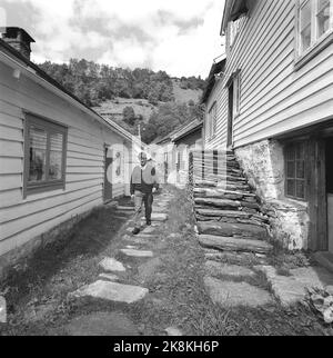 Osterøy 19680727. Havråtunet in Osterøy in Hordaland ist ein Hof, in dem die Vergangenheit noch lebt. Um das Jahr 1300 war Havråtunet ein gut etablierter Bauernhof. Auf dem Bild ist Johannes Torp heute die letzte überlebende Familie in Havråtunet. Er hat Frau und zwei Kinder und einige Schafe. Foto: Sverre Børretzen Current / NTB Stockfoto