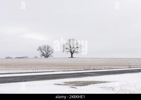 Eine Luftaufnahme des schneebedeckten Feldes mit Bäumen Stockfoto