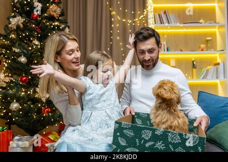 Frohes neues Jahr der Familie zu Weihnachten, Ehemann und Ehefrau mit Tochter im Wohnzimmer in der Nähe des Weihnachtsbaums, teilen Geschenke, geben ein kleines Haustier Maltipoo Hund an das Mädchen. Stockfoto