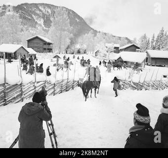 Fagernes 19680120 'Kontra-Revolution auf Fagernes.' Für den großen Halbdokumentarfilm über die Konterrevolution in Russland von 1920 bis 1921 besetzt die deutsche Fernsehgesellschaft zweite Deutsche Fernsehen wichtige Szenen in Fagernes. Auf dem Land des Valdres-Volksmuseums wird ein sibirisches Dorf errichtet, das in Brand gesetzt und die Bewohner verjagt wird. Foto; Aage Storløkken / Aktuell / NTB Stockfoto