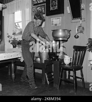 Flatdal in Telemark, August 1959. Fjellgården Ekre liegt 600 Meter über dem Meeresspiegel und in einem derart unwegsamen Gelände, dass "niemand denken würde, dass jemand es könnte BU". Die Familie betreibt natürliche Haushalte, darunter 3-4 Kühe, die gemolken werden müssen. Alle Söhne haben Pflichten auf dem Hof. So muss es sein, wenn sie alles erreichen wollen, was auf einem Bauernhof getan werden muss. Hier trennt Halvard (13) die Milch in einem Separator. Foto: Aage Storløkken / Aktuell / NTB Stockfoto