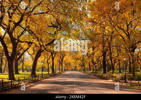 Poet's Walk Promenade im Central Park in vollen Herbstfarben. Manhattan, New York City Stockfoto
